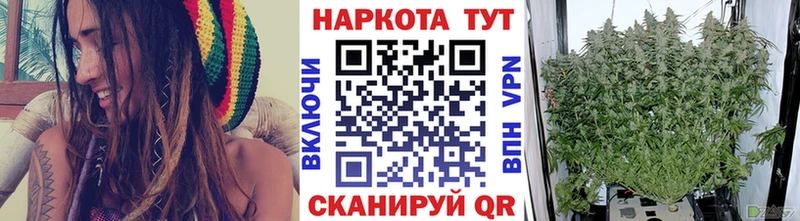 Купить наркотик Александров Галлюциногенные грибы  A PVP  Меф мяу мяу  Каннабис  ГАШИШ 