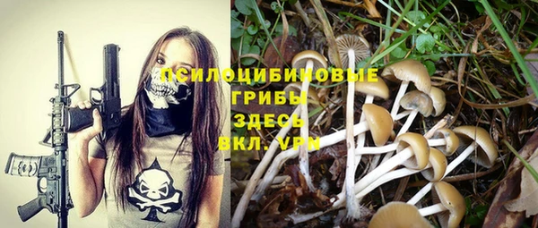 прущие крисы Абинск