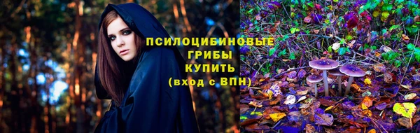 apvp Алексеевка