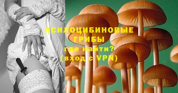 jwh Алзамай