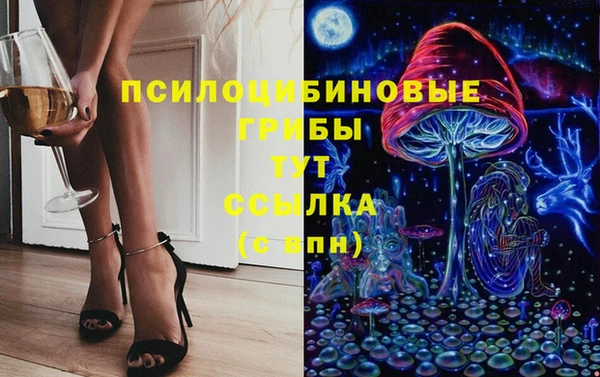 a pvp Горнозаводск