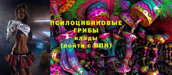 spice Абаза