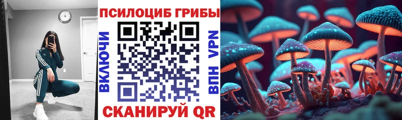 Галлюциногенные грибы Magic Shrooms наркота Александров